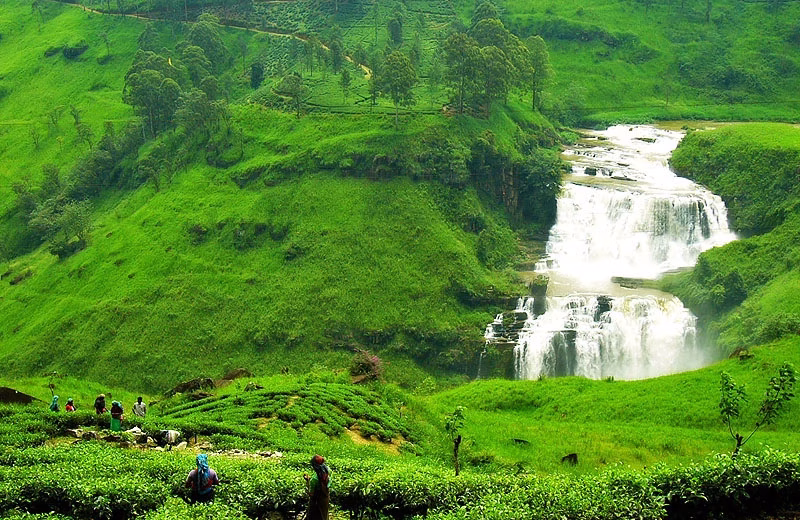 Sri Lanka Hill Country Holiday